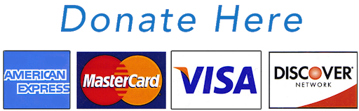 Payment Methods - Credit Cards and PayPal